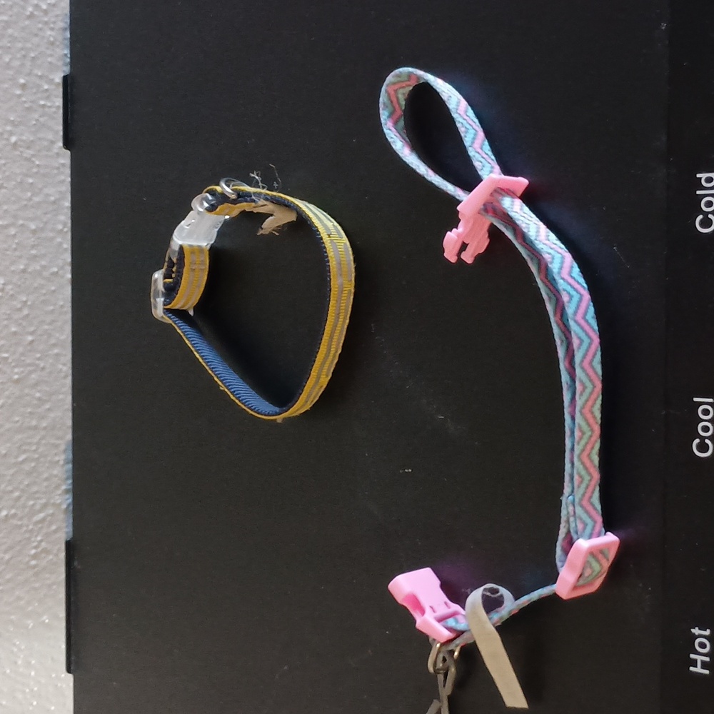 Small Dog Accessory Set Of 17 - Picture 5 of 15